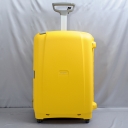 Samsonite,  , d18.006.168